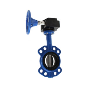 Válvulas de Mariposa con Reductor INOX